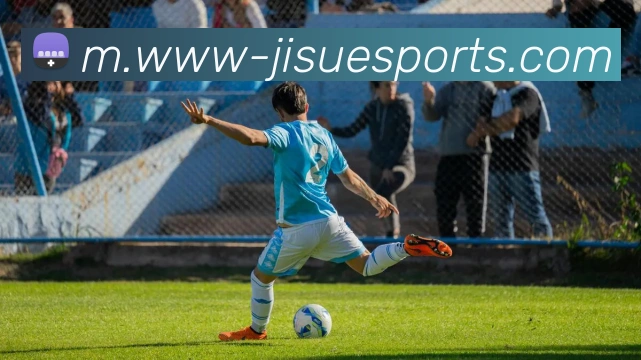 未来规划